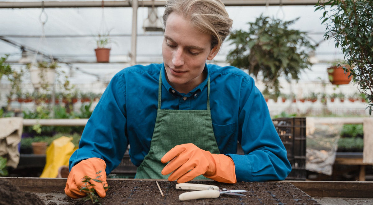 Personne portant un tablier de jardinage lors d'une session de plantation au potager